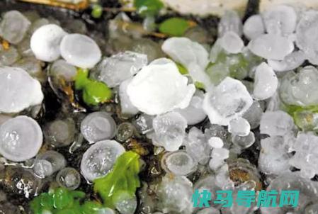 露天停车下冰雹办会把车砸坏吗 汽车能承受多大的冰雹