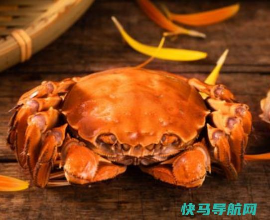 梭子蟹肉多还是黄多？梭子蟹外面的籽能吃吗