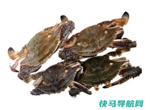 梭子蟹用火锅底料炒还是豆瓣酱炒？梭子蟹不能和什么一起吃